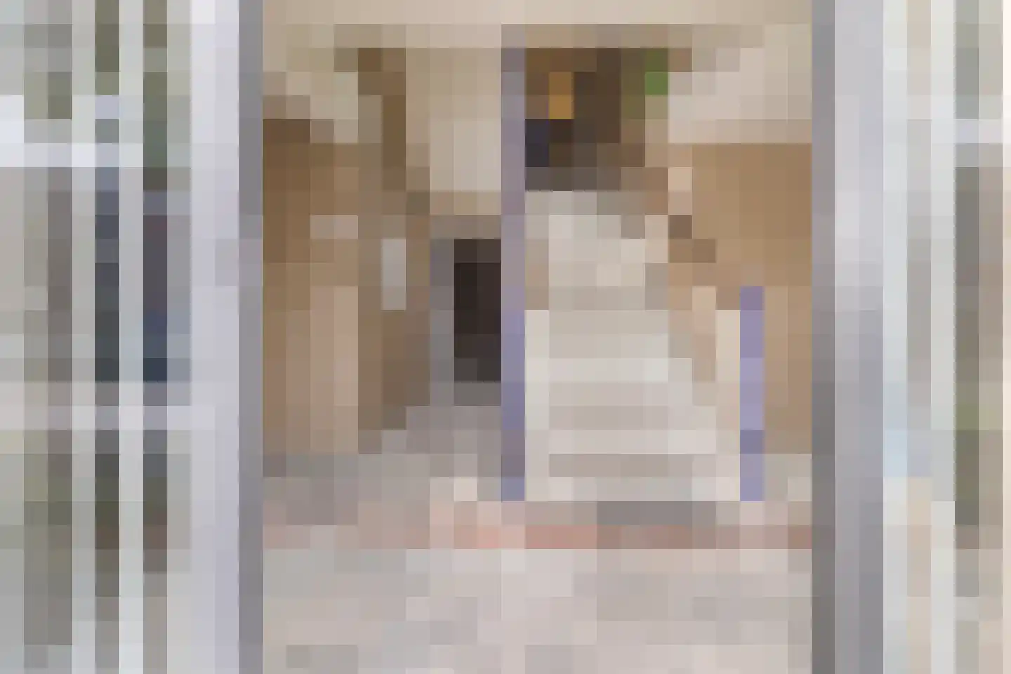 Multatulistraat 167 Groningen thumbnail 6