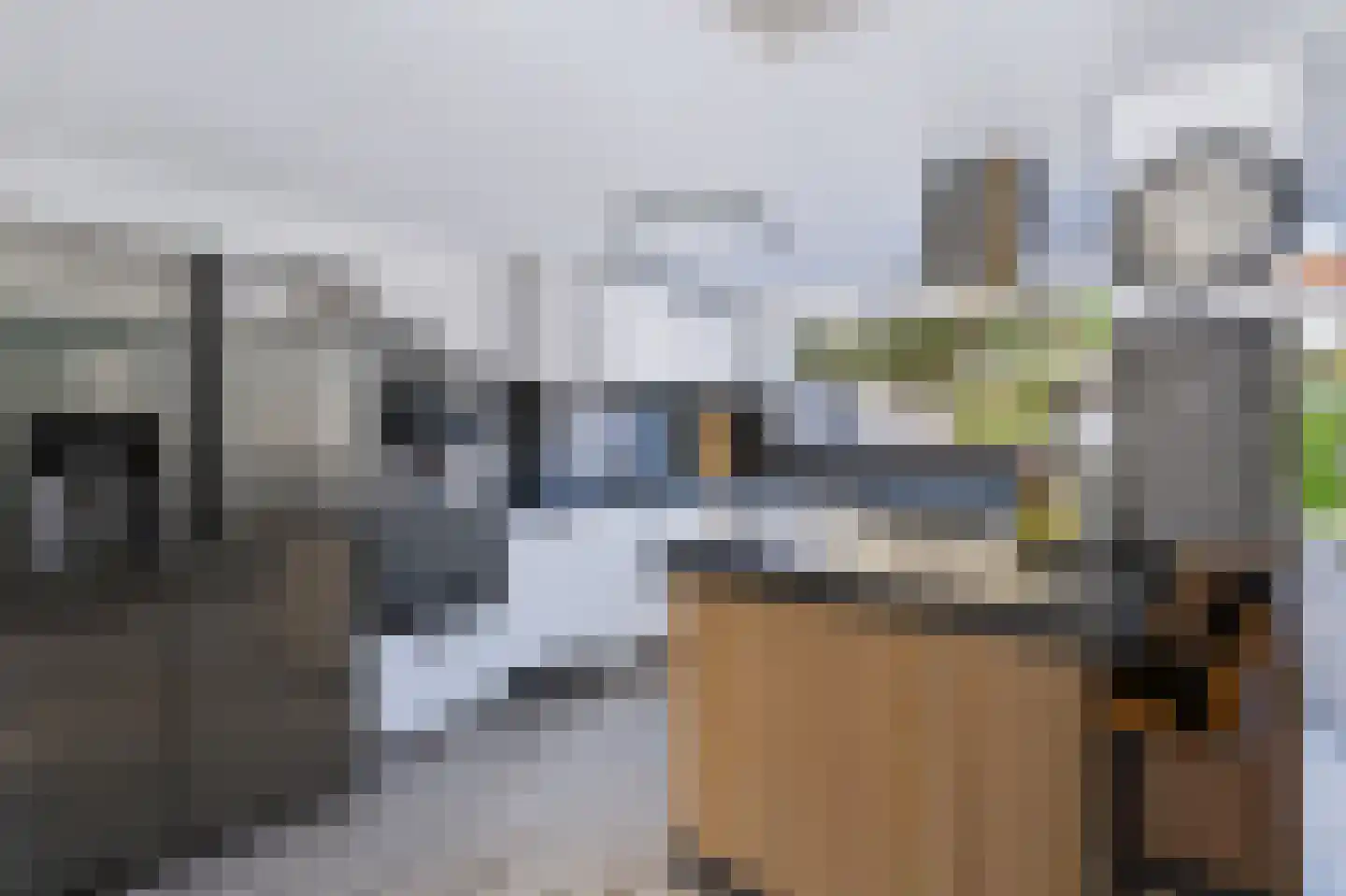 Multatulistraat 18 Spijkenisse thumbnail 12