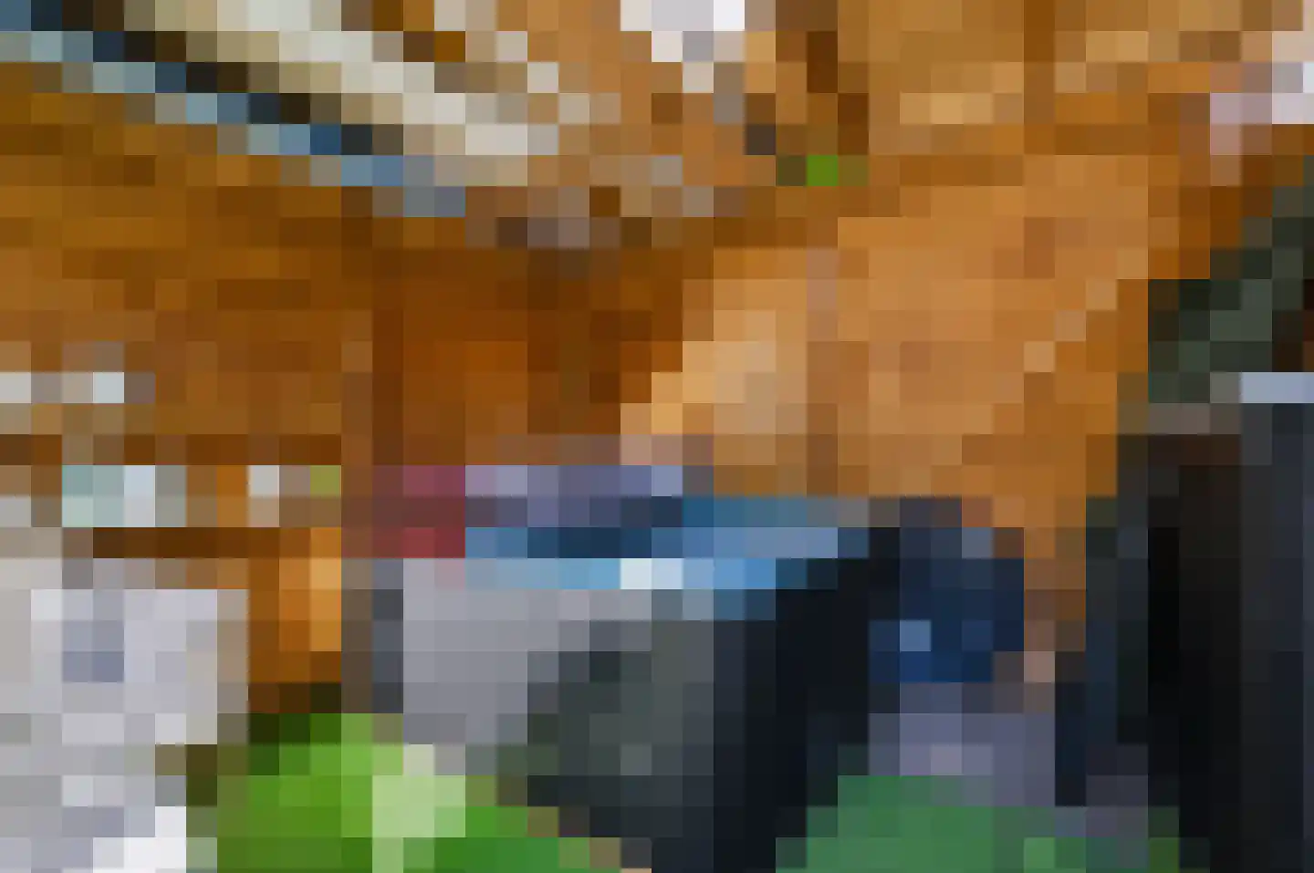 Multatulistraat 18 Spijkenisse thumbnail 14