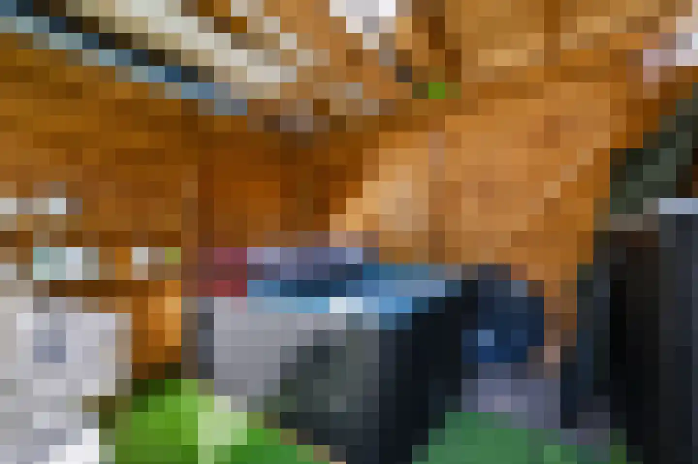 Multatulistraat 18 Spijkenisse thumbnail 15