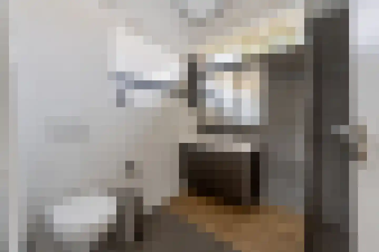 Multatulistraat 18 Spijkenisse thumbnail 4