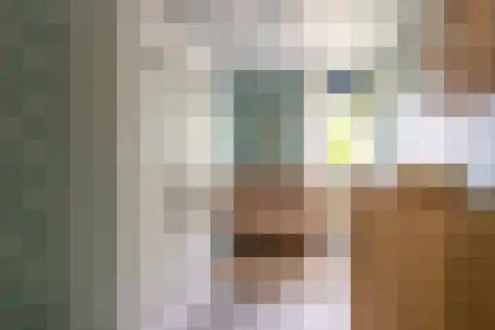 Multatulistraat 19 Gorinchem thumbnail 15