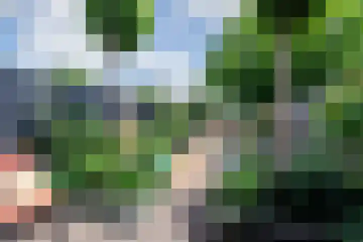 Multatulistraat 19 Gorinchem thumbnail 8