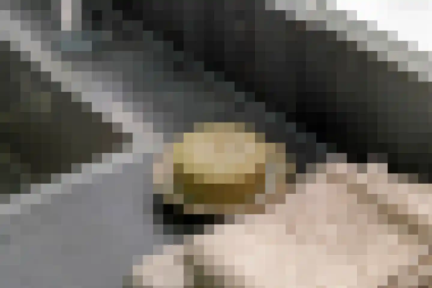 Multatulistraat 19 Tiel thumbnail 14