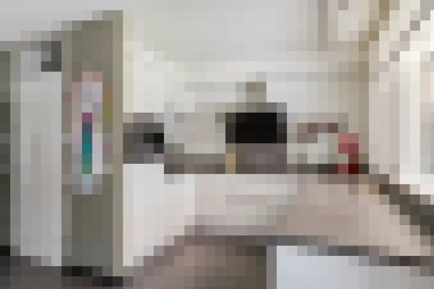 Multatulistraat 19 Tiel thumbnail 15