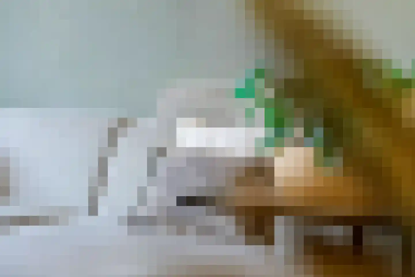 Multatulistraat 19 Tiel thumbnail 6