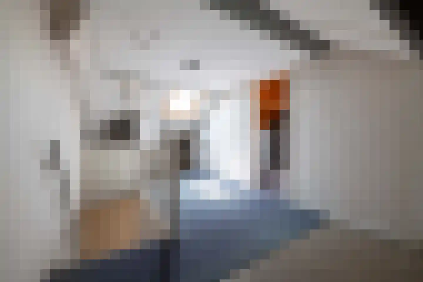 Multatulistraat 2 Hellevoetsluis thumbnail 34