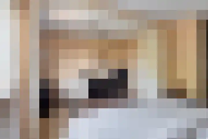 Multatulistraat 21 Gorinchem thumbnail 11