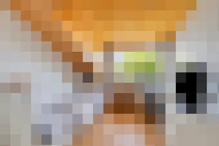 Multatulistraat 21 Gorinchem thumbnail 14