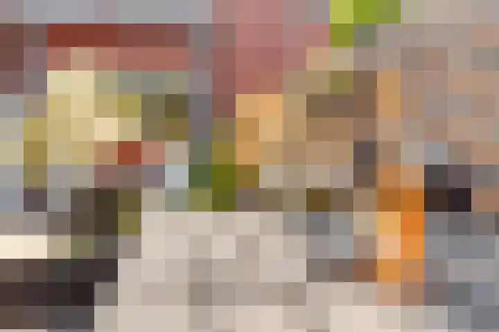 Multatulistraat 21 Gorinchem thumbnail 17