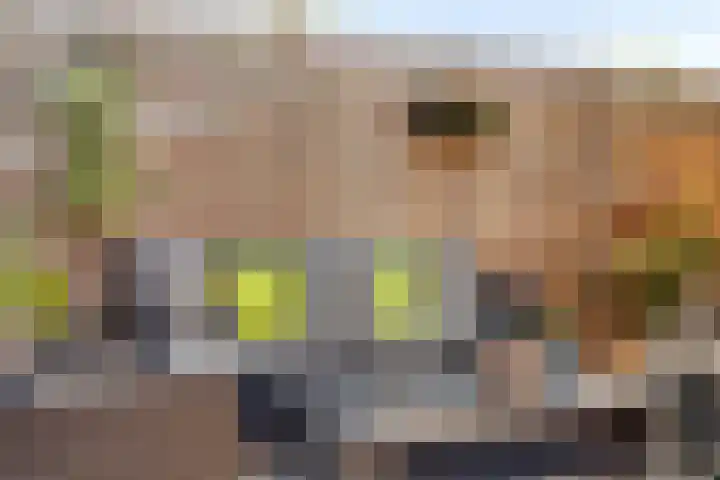 Multatulistraat 21 Gorinchem thumbnail 18
