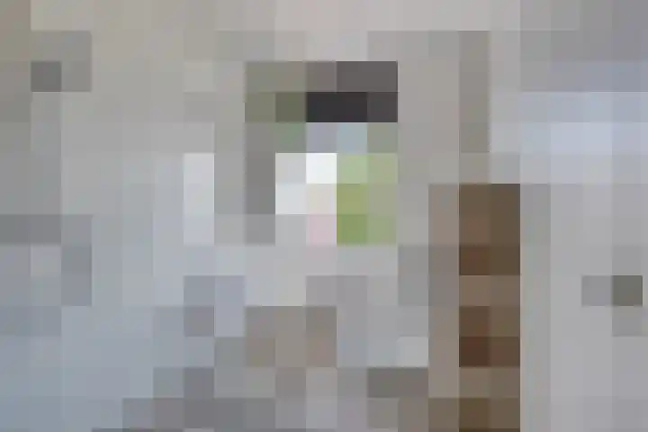 Multatulistraat 21 Gorinchem thumbnail 8