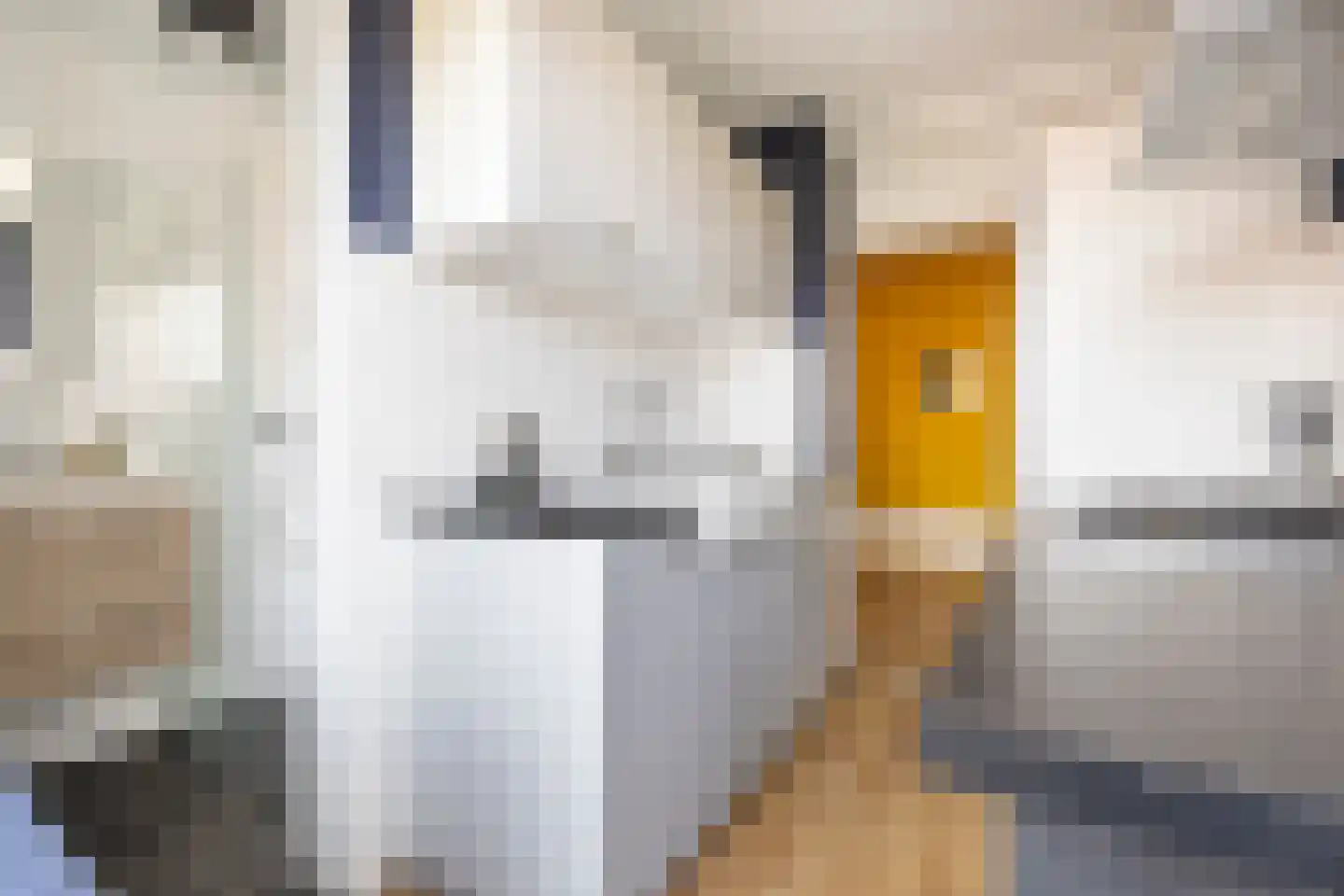 Multatulistraat 21 Groningen thumbnail 15