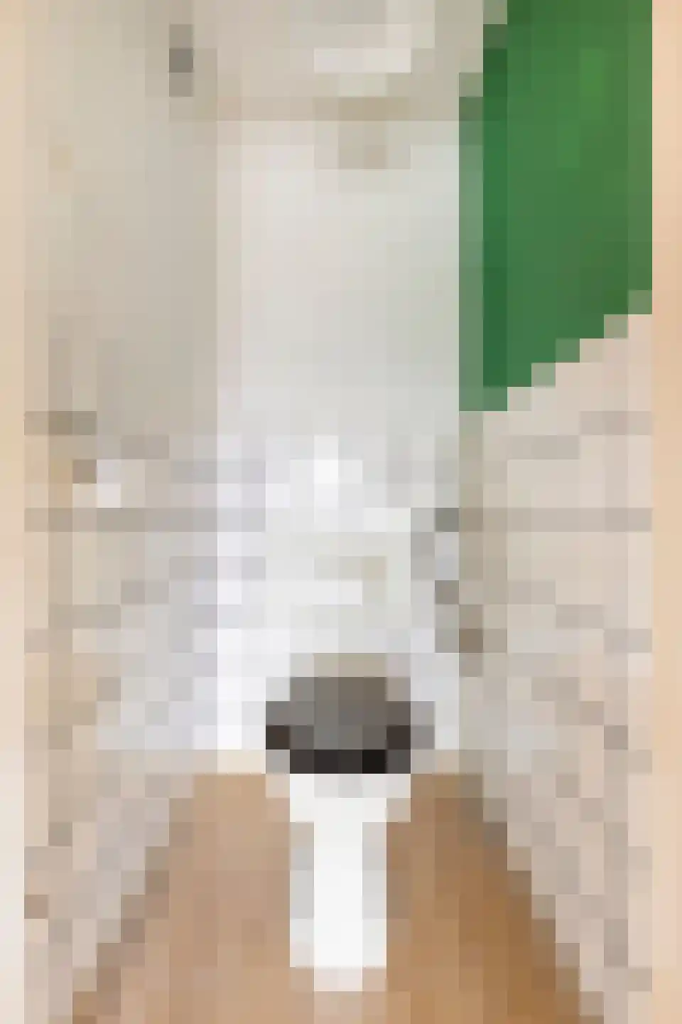 Multatulistraat 21 Groningen thumbnail 17