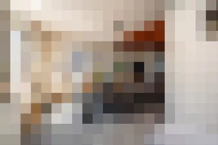 Multatulistraat 3 Harderwijk thumbnail 13