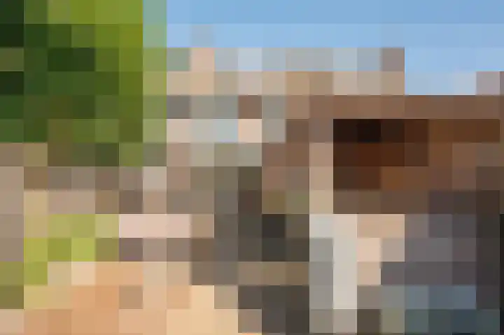 Multatulistraat 3 Harderwijk thumbnail 32