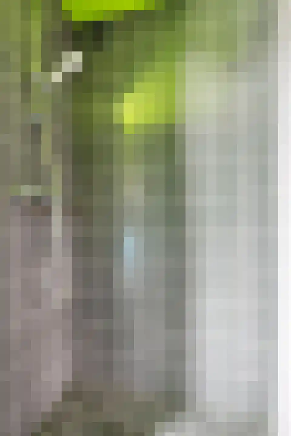 Multatulistraat 31 Groningen thumbnail 21