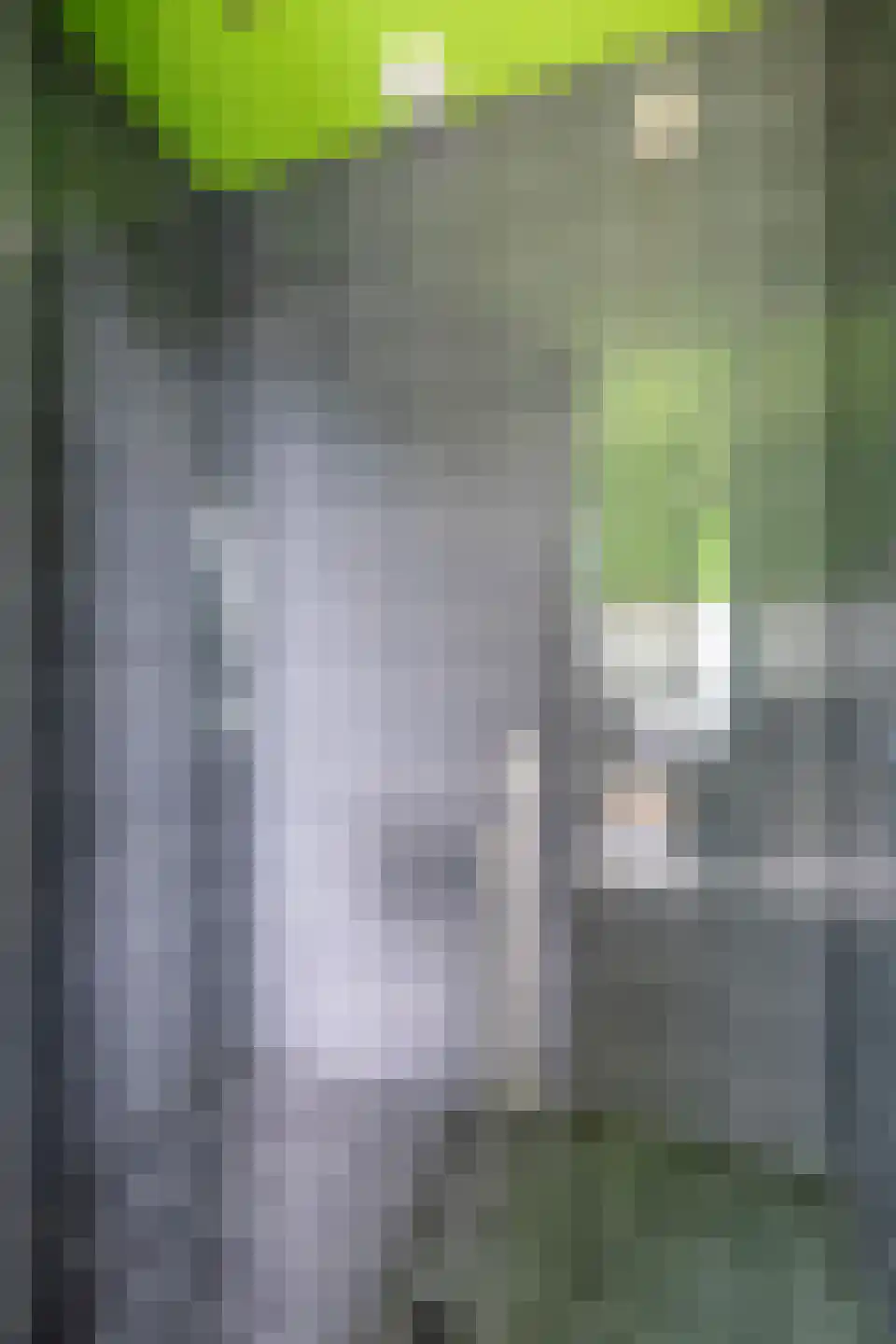Multatulistraat 31 Groningen thumbnail 22