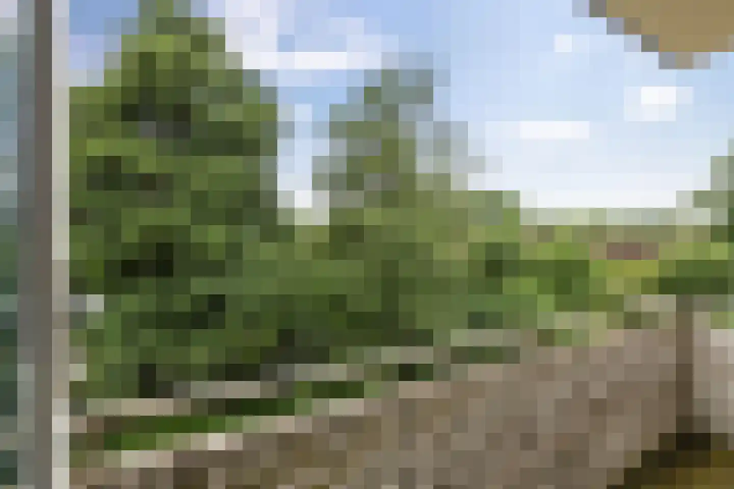 Multatulistraat 31 Groningen thumbnail 27