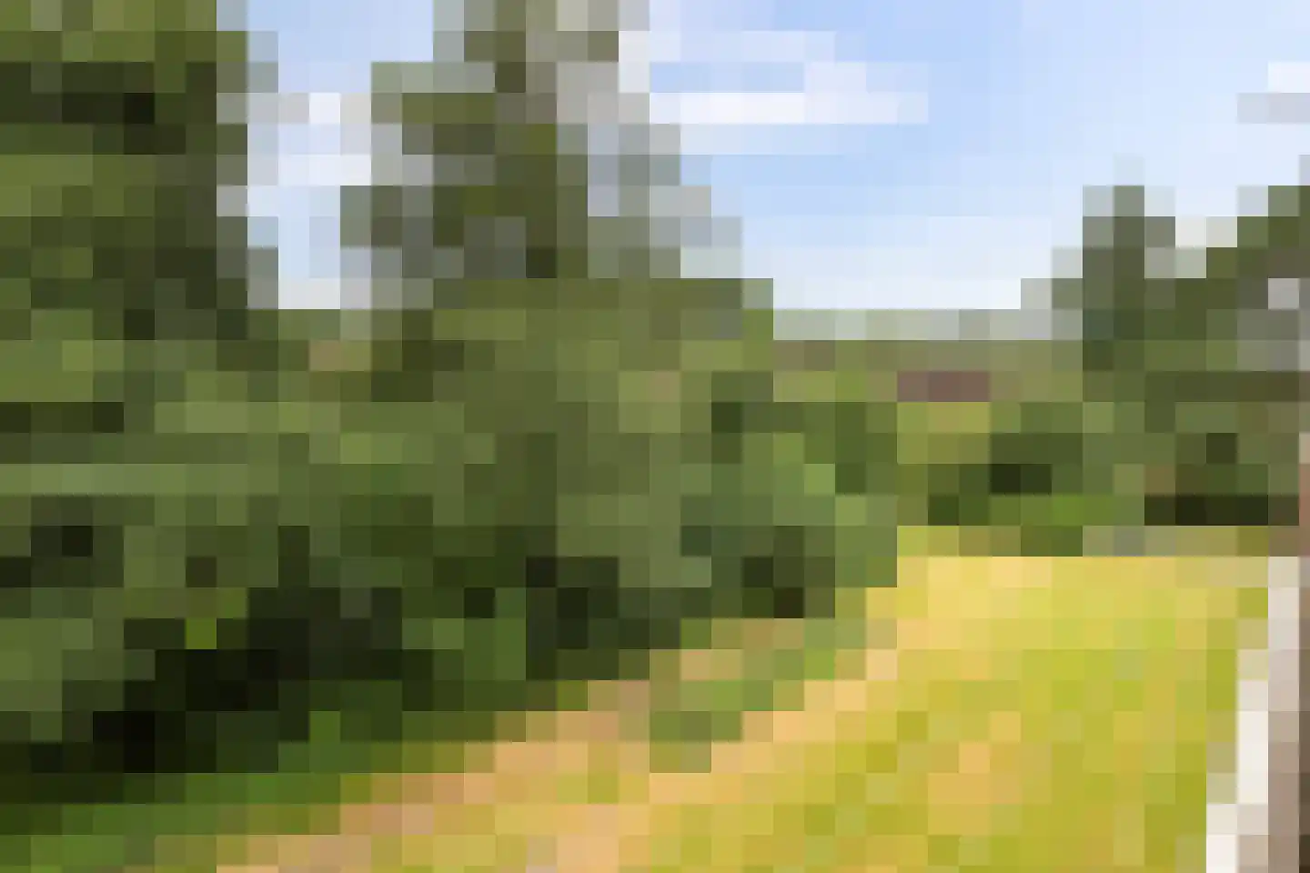 Multatulistraat 31 Groningen thumbnail 28