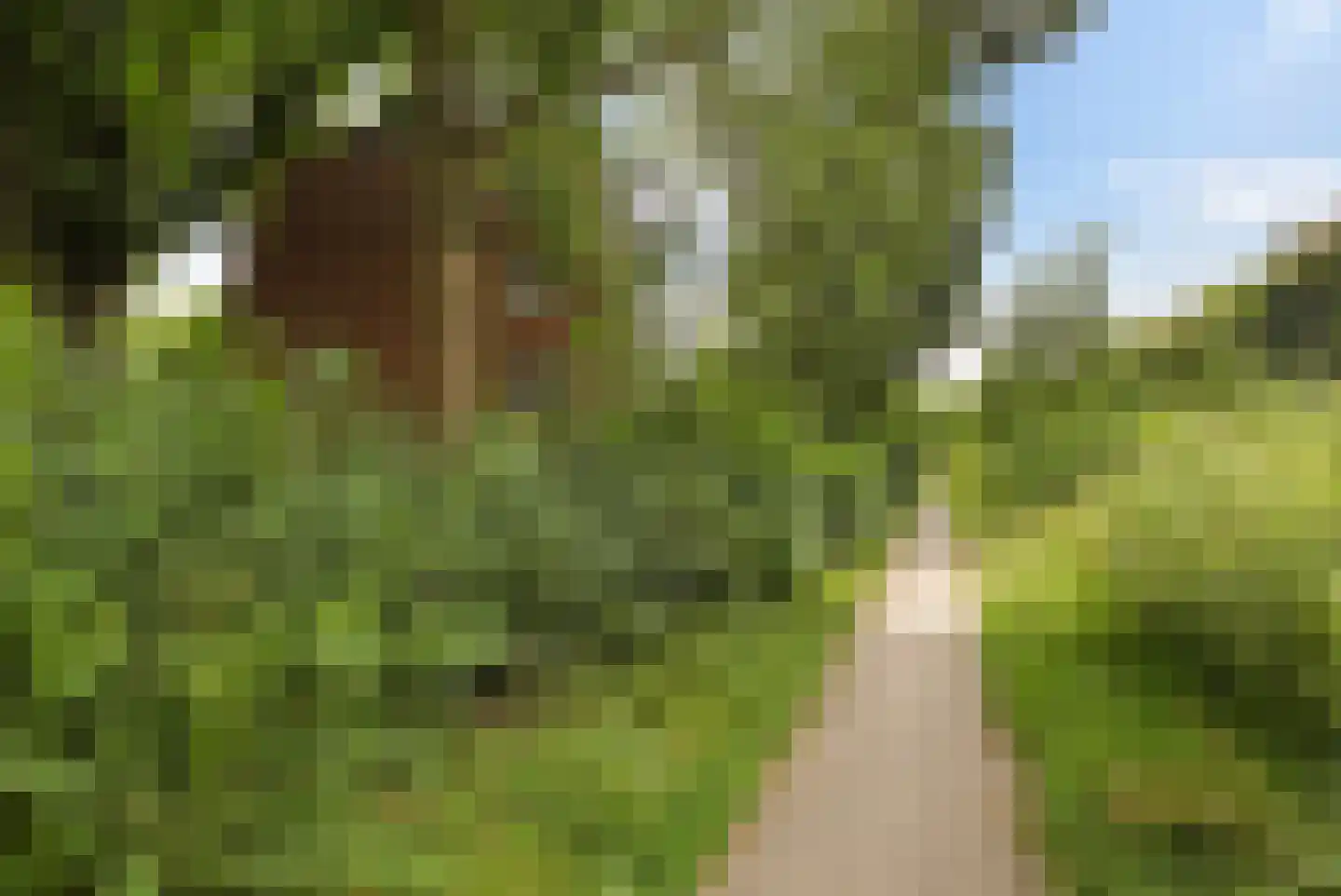 Multatulistraat 31 Groningen thumbnail 32