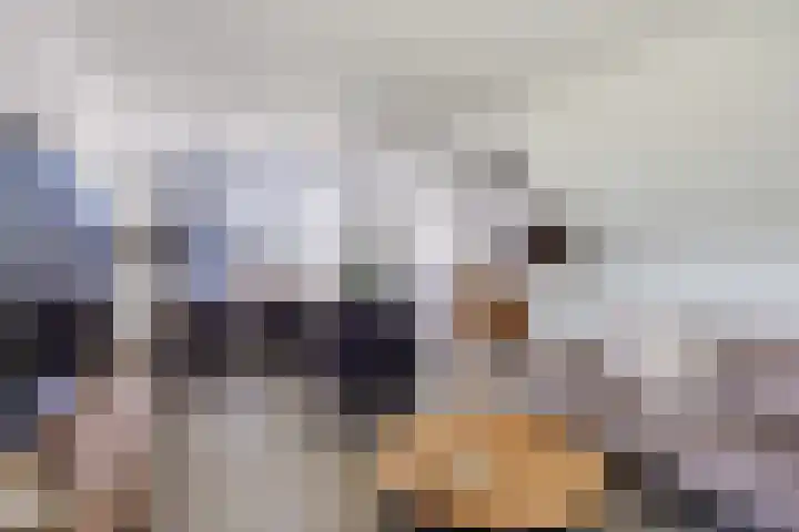 Multatulistraat 4 Winschoten thumbnail 18