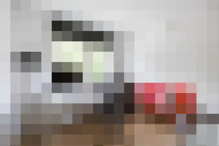 Multatulistraat 4 Winschoten thumbnail 40