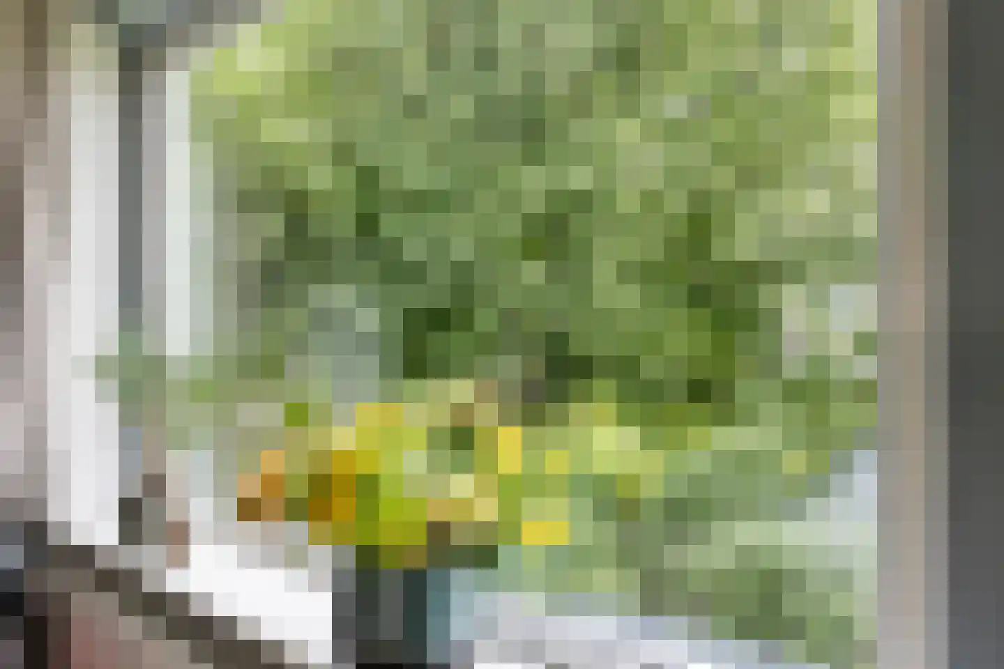 Multatulistraat 43 Groningen thumbnail 13