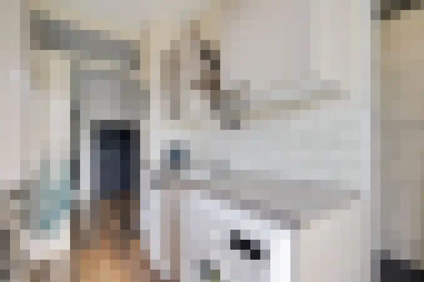 Multatulistraat 43 Groningen thumbnail 19