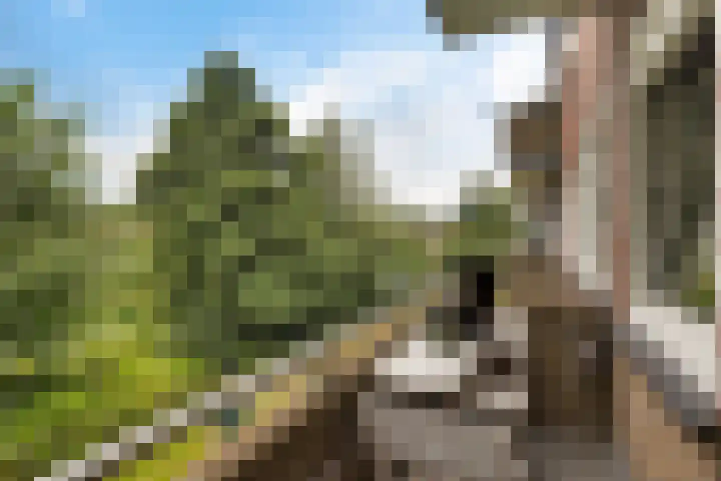 Multatulistraat 43 Groningen thumbnail 25