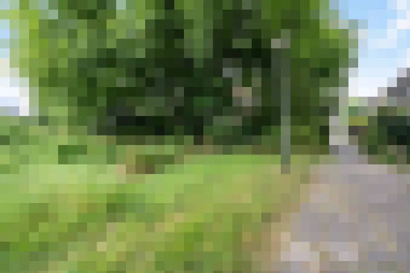 Multatulistraat 43 Groningen thumbnail 27