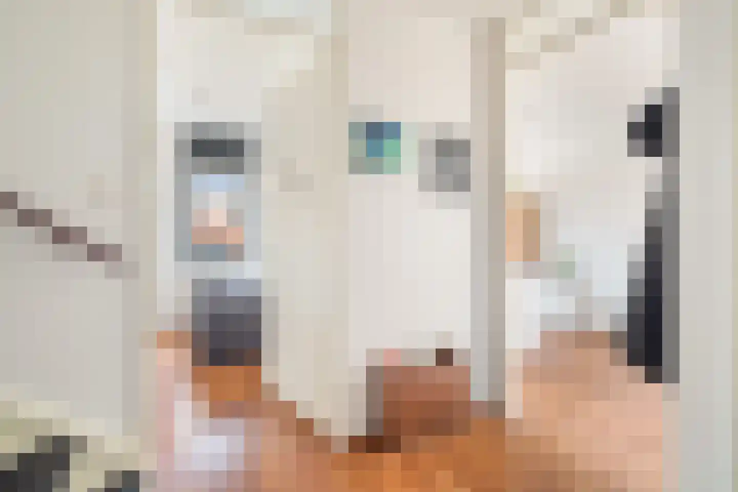 Multatulistraat 56 Rotterdam thumbnail 34