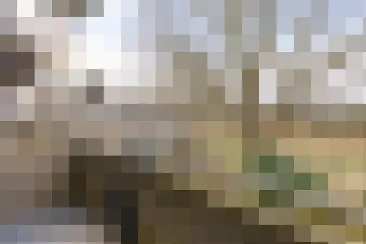 Multatulistraat 57 Groningen thumbnail 21