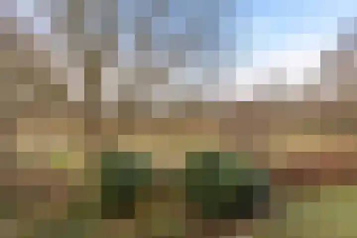 Multatulistraat 57 Groningen thumbnail 23