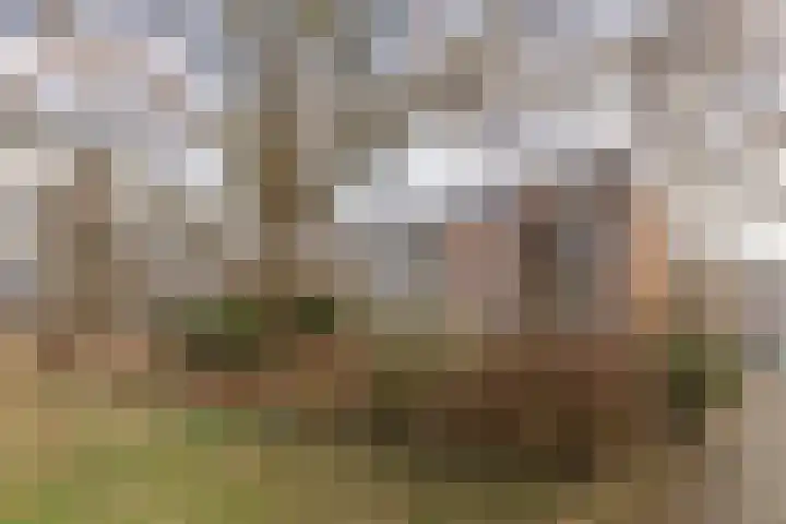 Multatulistraat 57 Groningen thumbnail 29