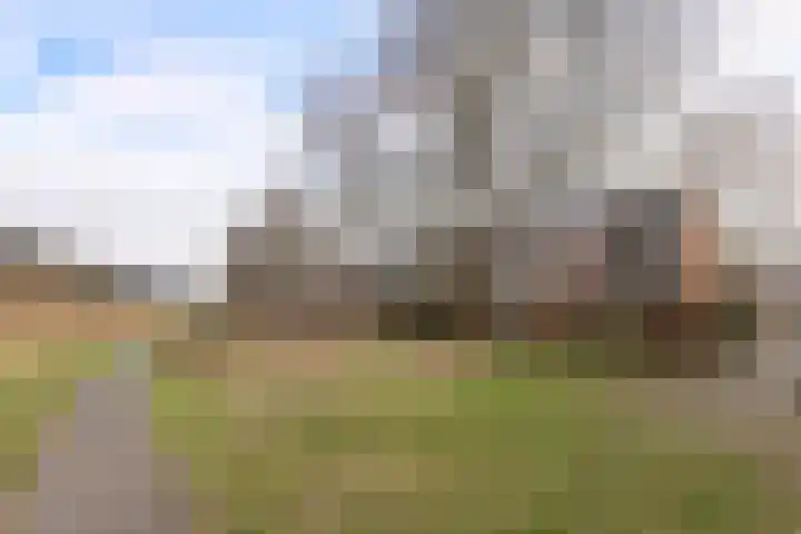 Multatulistraat 57 Groningen thumbnail 30