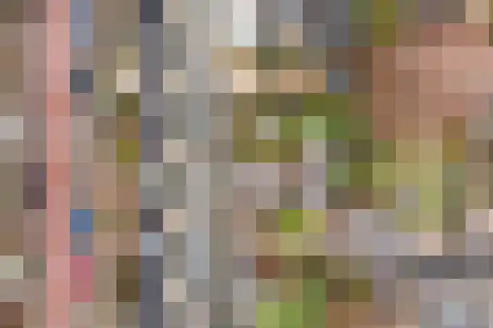 Multatulistraat 57 Vleuten thumbnail 25