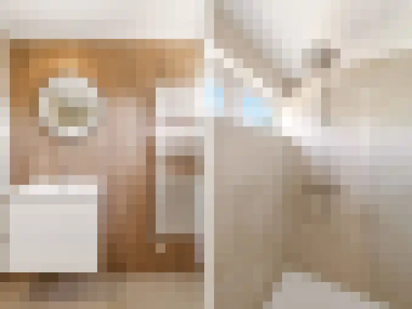 Multatulistraat 6 Zutphen thumbnail 18