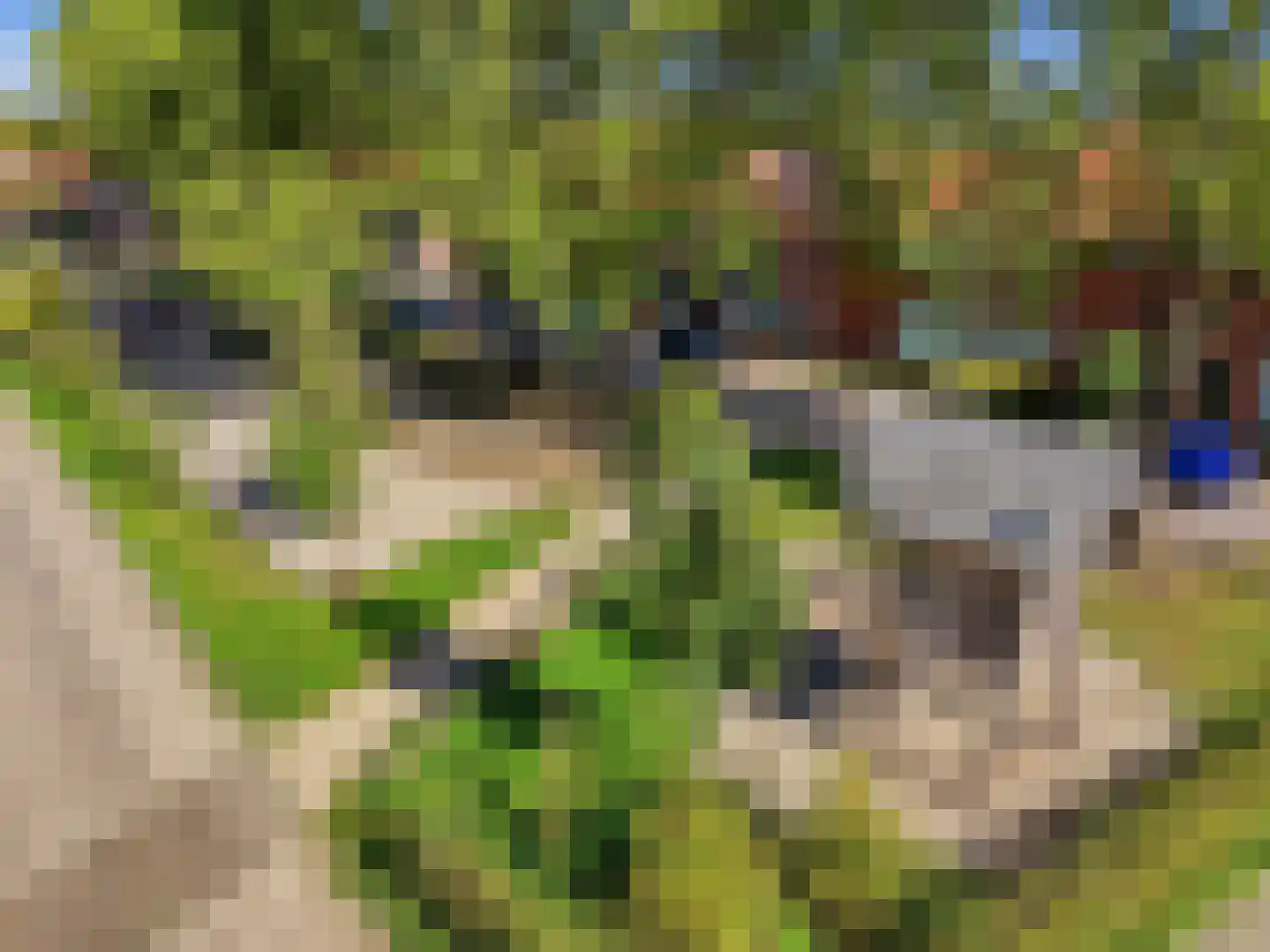 Multatulistraat 6 Zutphen thumbnail 31