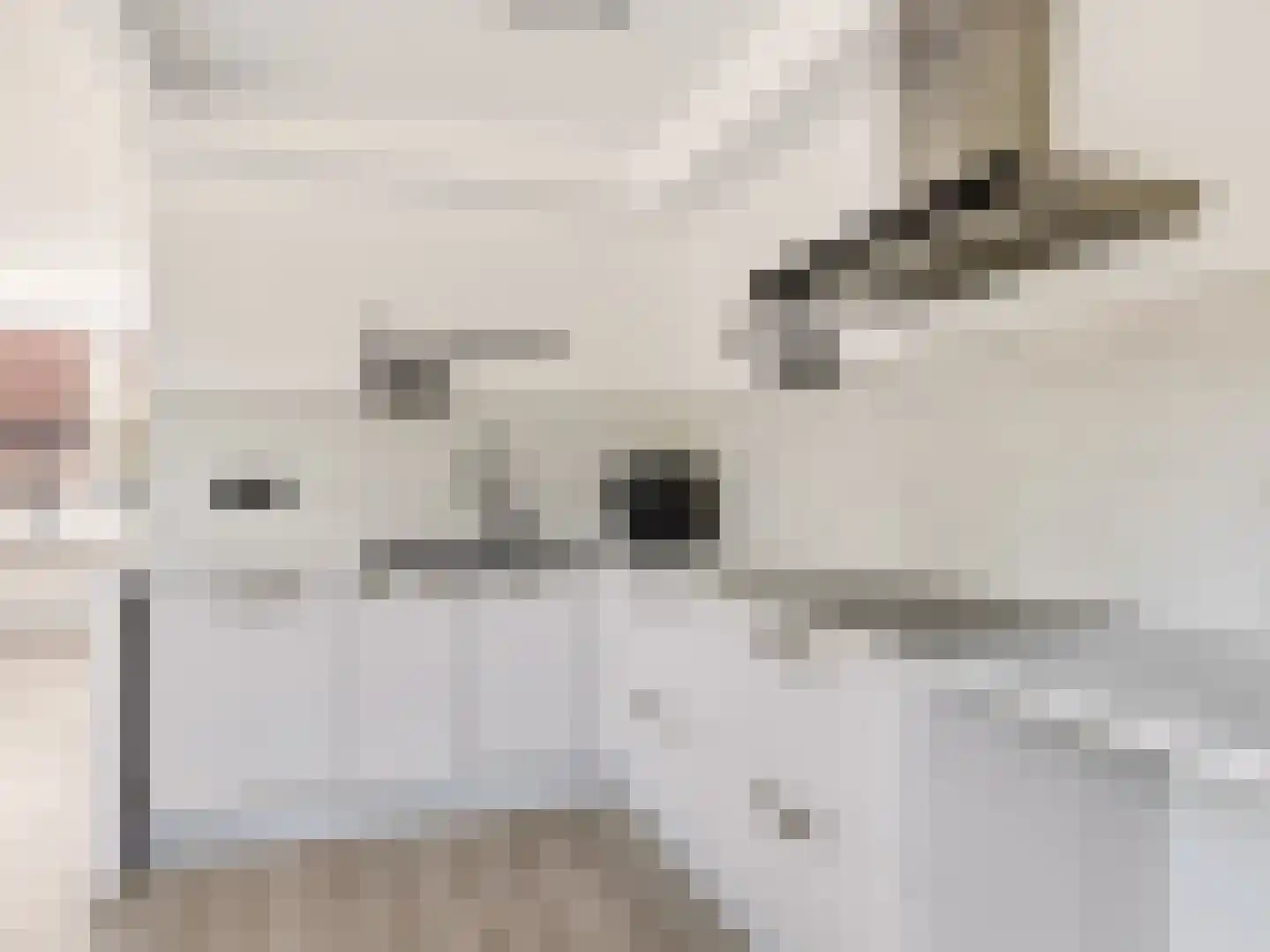 Multatulistraat 6 Zutphen thumbnail 9