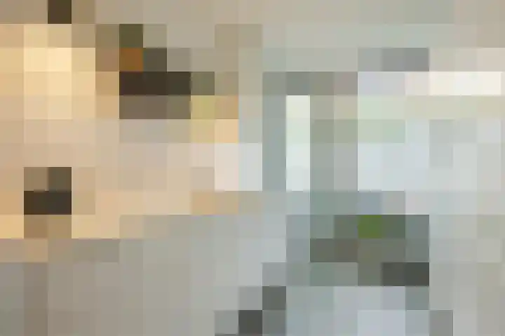 Multatulistraat 66 Den Haag thumbnail 16