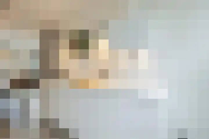Multatulistraat 66 Den Haag thumbnail 18