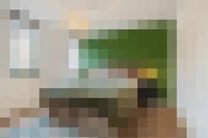 Multatulistraat 66 Den Haag thumbnail 23