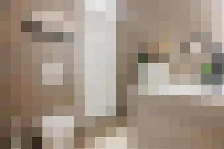 Multatulistraat 66 Den Haag thumbnail 30