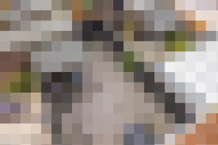 Multatulistraat 66 Den Haag thumbnail 44