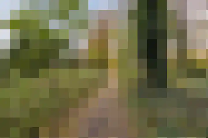 Multatulistraat 66 Den Haag thumbnail 59