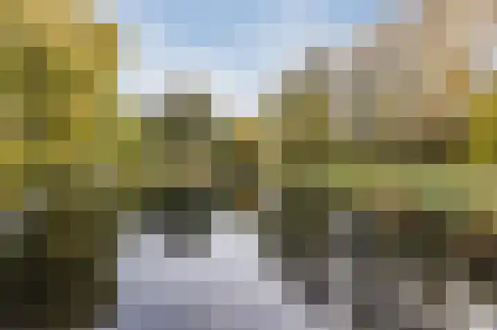 Multatulistraat 66 Den Haag thumbnail 60