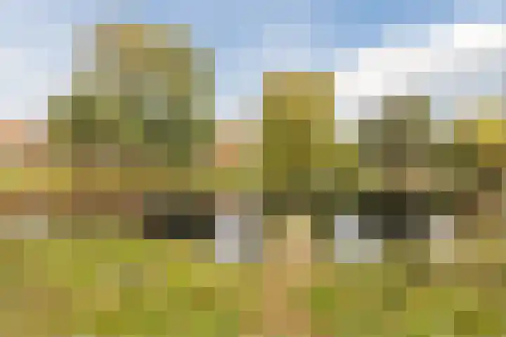 Multatulistraat 66 Den Haag thumbnail 61