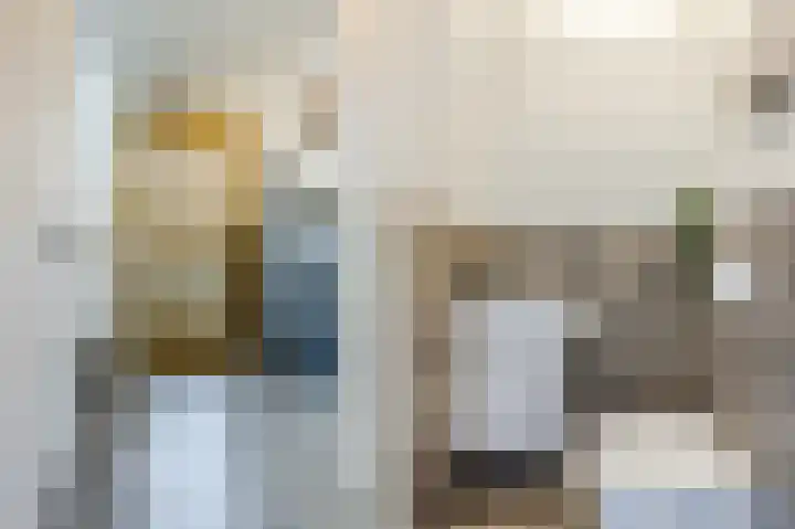 Multatulistraat 66 Den Haag thumbnail 9