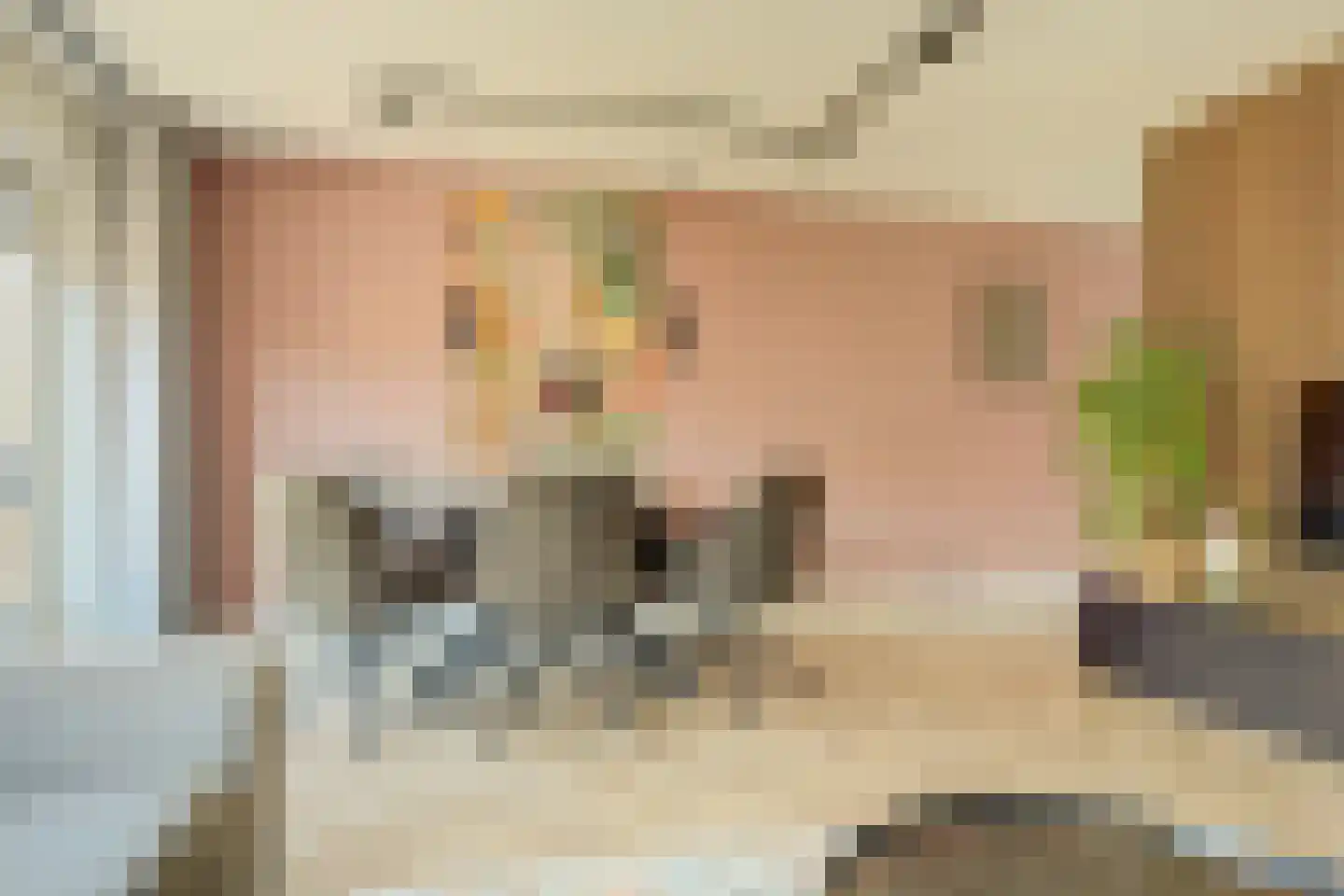 Multatulistraat 66 Gorinchem thumbnail 12